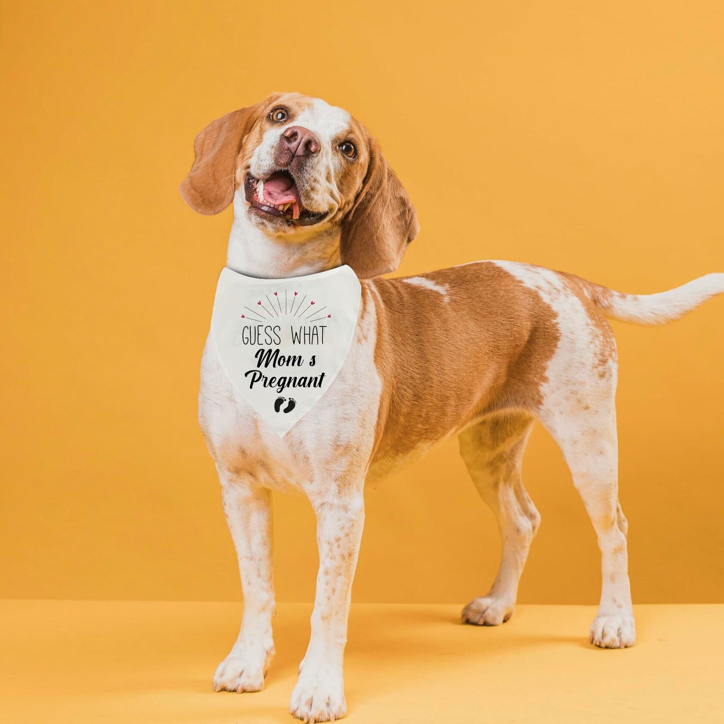 “Guess” Pregnancy Announcement Dog Bandana