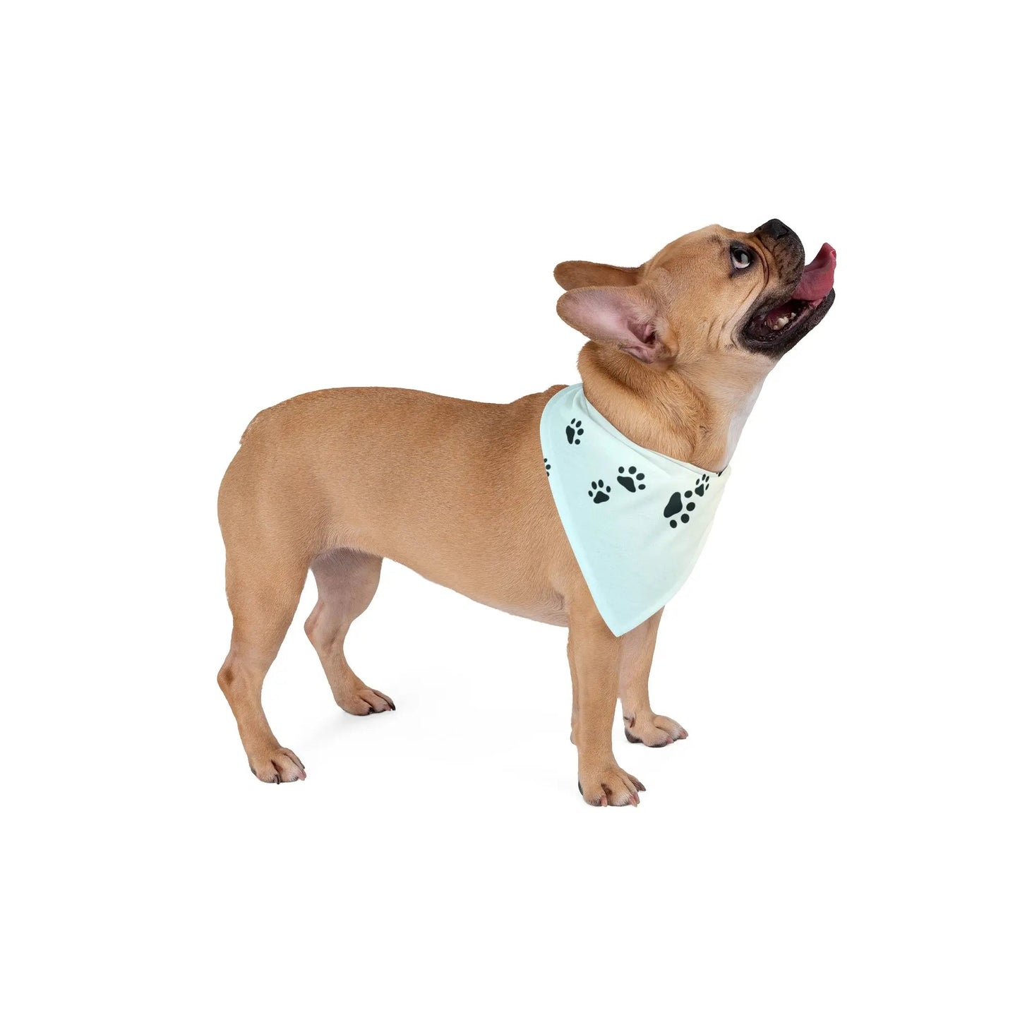 Paw Print Pet Bandana - Stylish Accessory for Dogs & Cats
