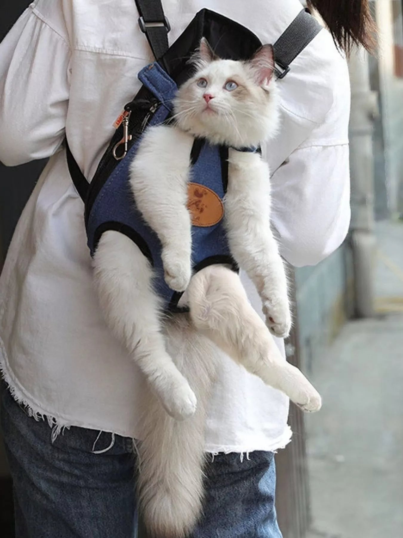 Adjustable Straps Pet Carrier Backpack