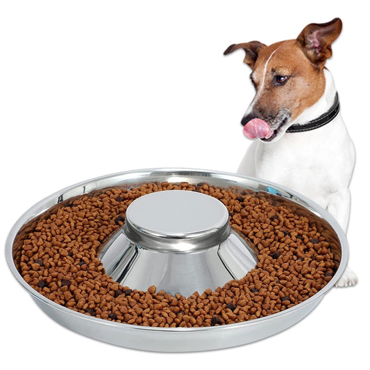 Stainless Steel Puppy Feeder Bowl – Small Dog & Cat