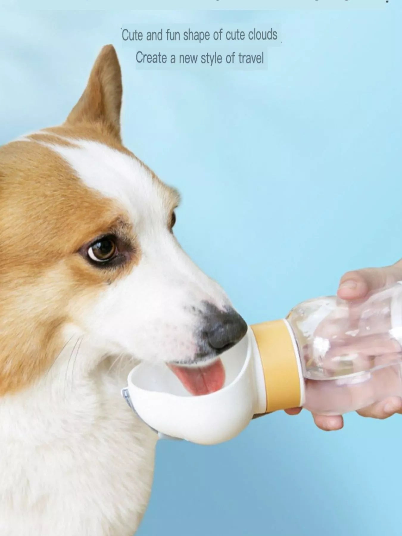 Portable 2-in-1 Pet Water and Food Bowl