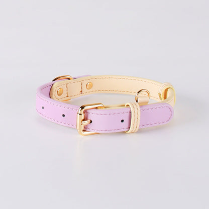 2-Tone Leather Dog Collar – Adjustable & Stylish Pet Walking Accessories