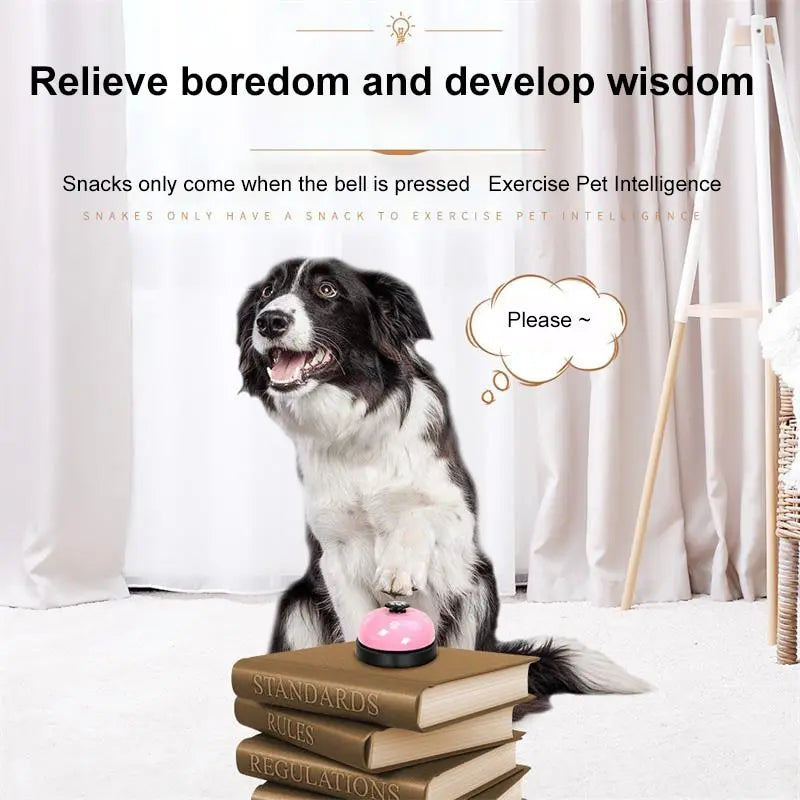 Pet Training Dinner Bell Toy – Interactive Training Tool for Dogs & Cats