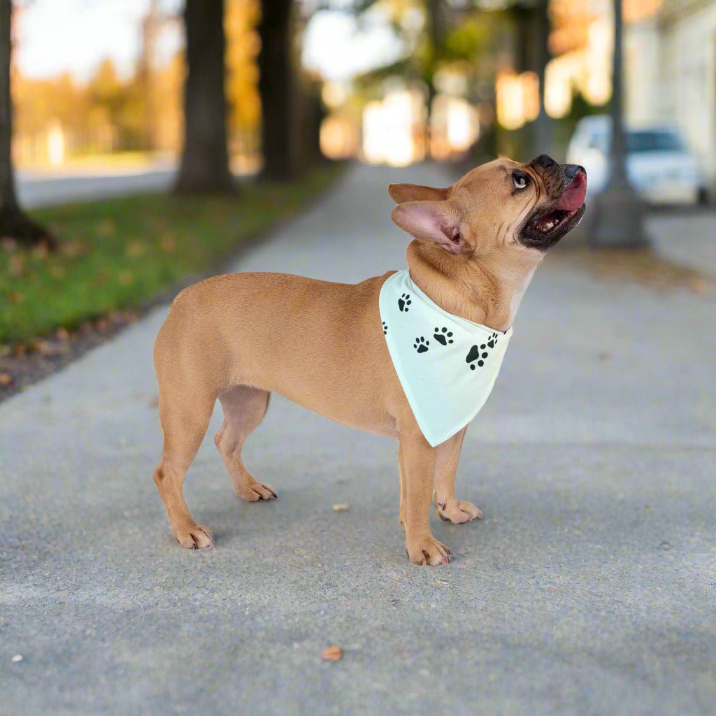 Paw Print Pet Bandana - Stylish Accessory for Dogs & Cats