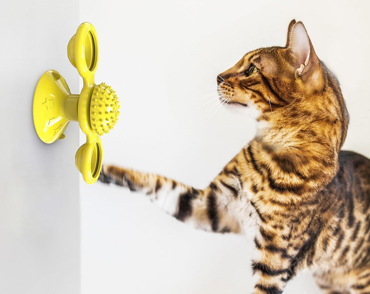 Windmill Spinning Cat Toy – Suction Cup Interactive Fun
