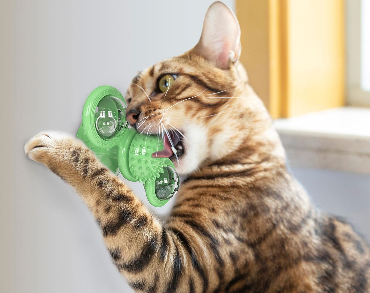 Windmill Spinning Cat Toy – Suction Cup Interactive Fun